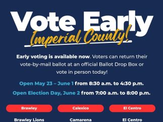 ROV_VoteEarly_Eng