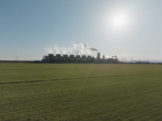 {{brizy_dc_image_alt entityId=